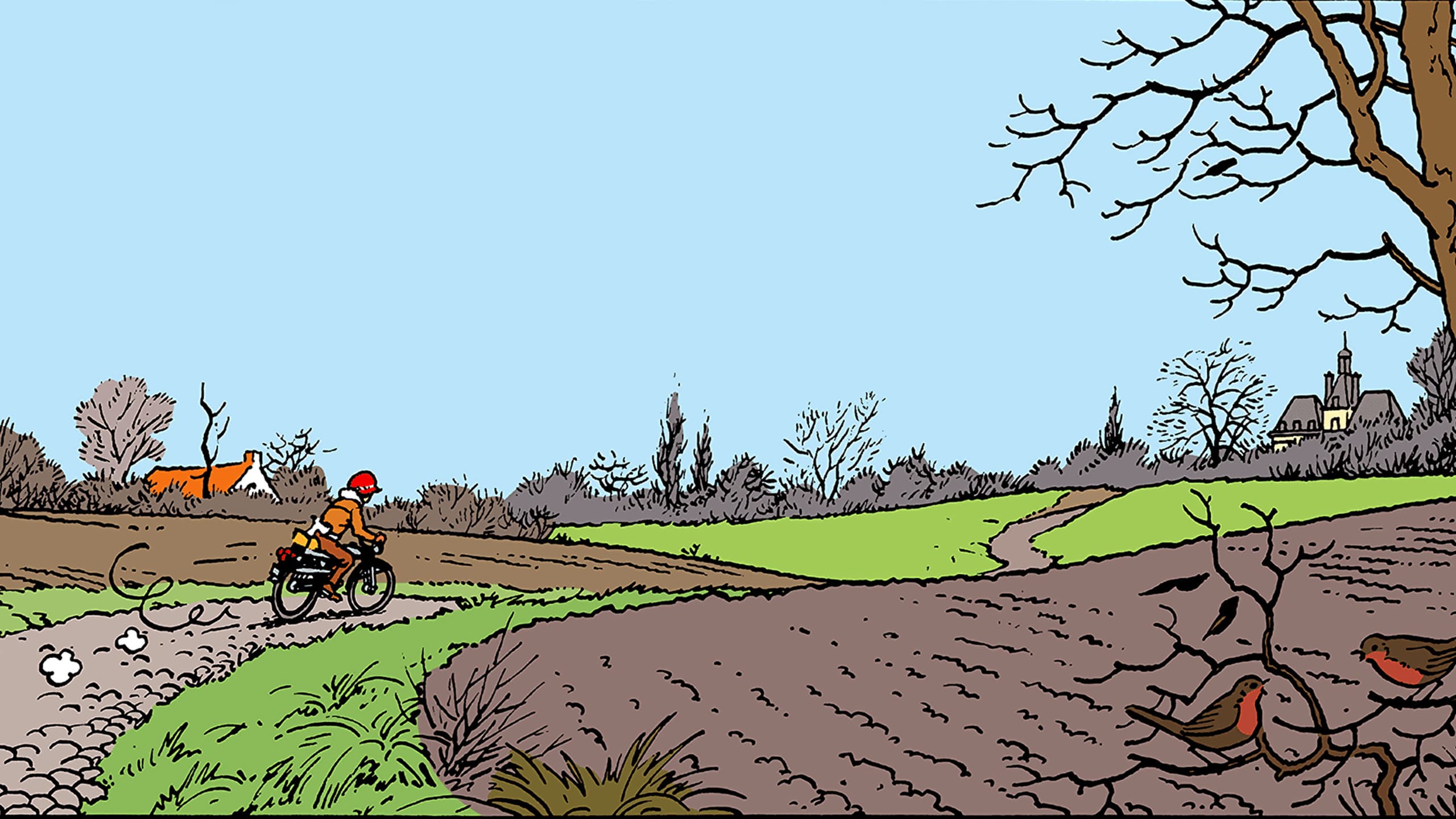 Tintin and the Picaros backdrop