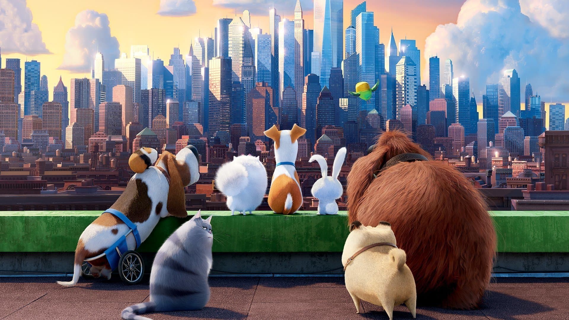 The Secret Life of Pets Collection