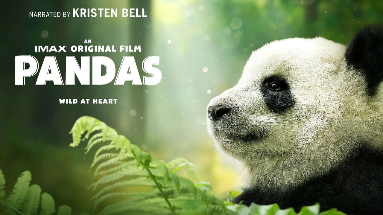 Pandas backdrop