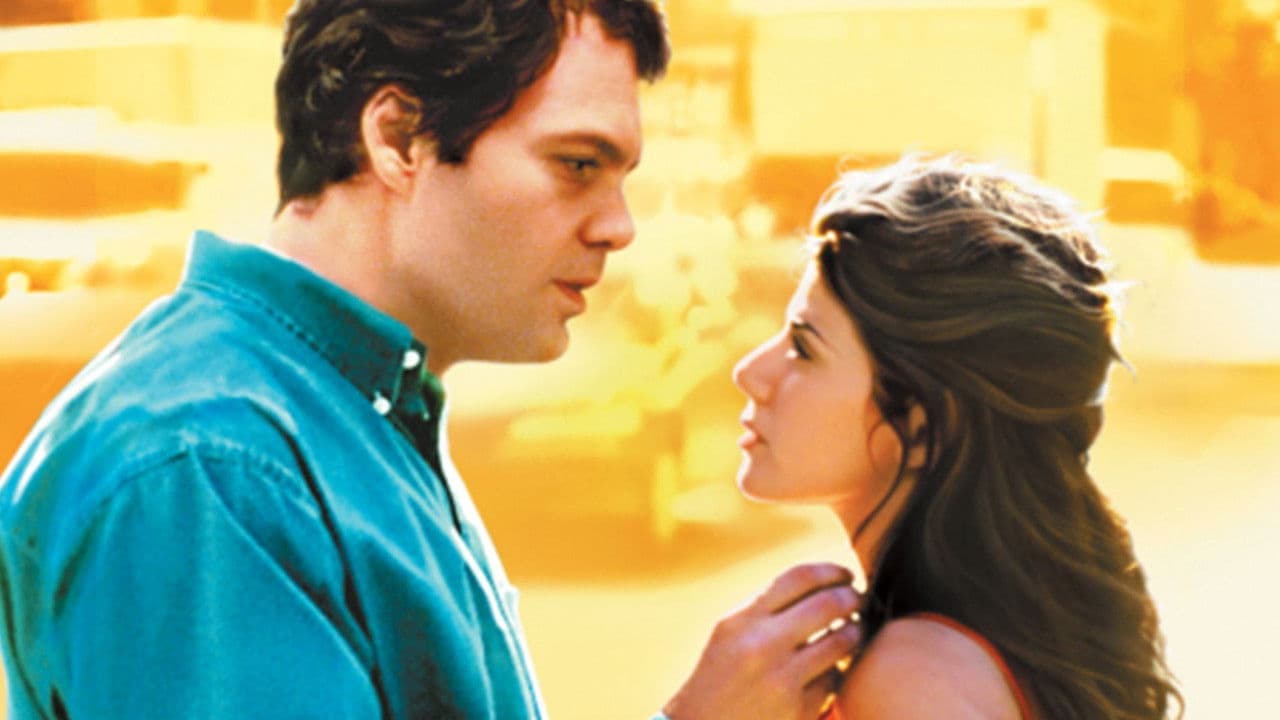 Happy Accidents backdrop