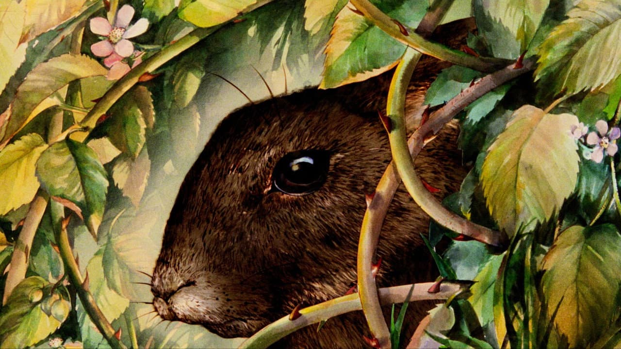 Watership Down backdrop