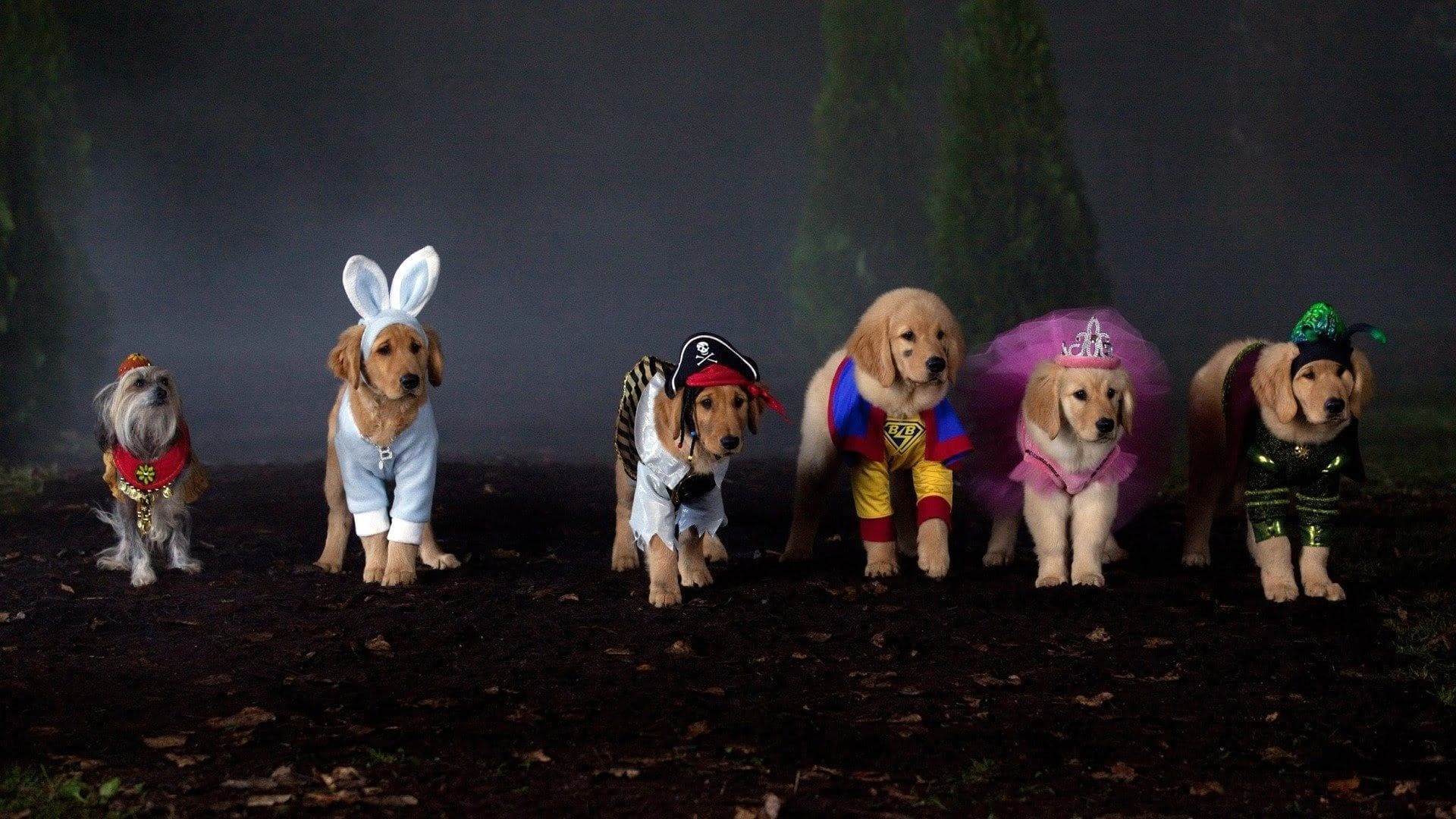 Spooky Buddies backdrop